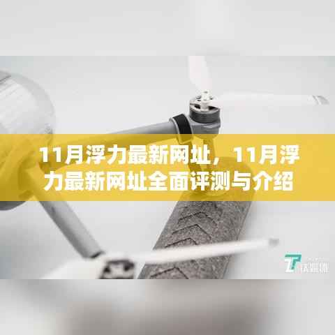 11月浮力最新网址全面评测与介绍，最新资源一网打尽