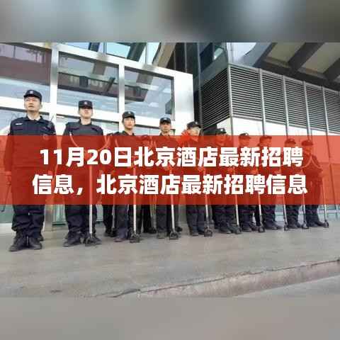 北京酒店最新招聘信息全攻略,从零基础到成功求职的每一步指引(11月20日更新)
