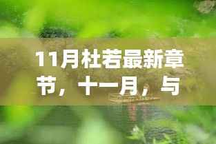 十一月与杜若共舞,自然美景中的心灵之旅