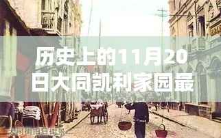 历史上的11月20日大同凯利家园揭秘,最新动态与进展速递