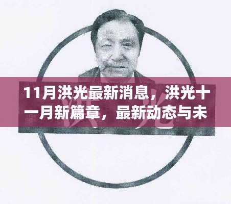 洪光最新动态,十一月新篇章及未来展望