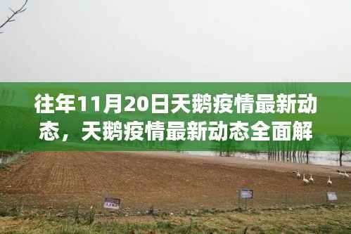 往年11月20日天鹅疫情最新动态全解读,特性、体验、竞品对比及用户分析