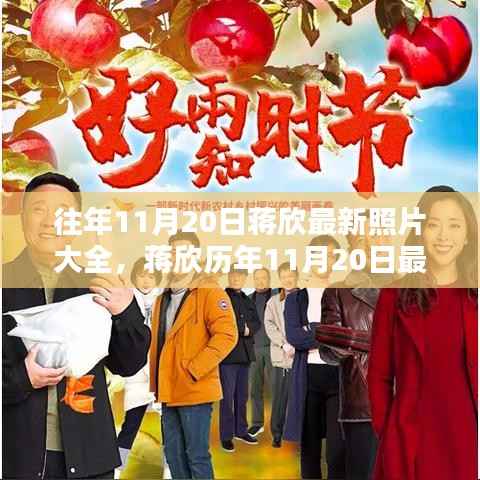 蒋欣历年11月20日照片集锦,回顾与赏析最新大片