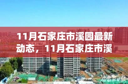 11月石家庄市溪园最新动态解析,某某观点下的深度阐述