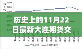 历史上的11月22日,大连期货交易的新视角与深度洞察解析