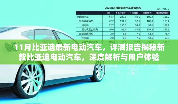 走马观花 第16页