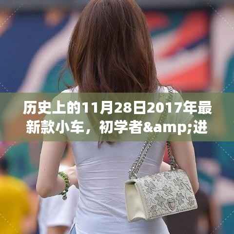 历史上的11月28日,最新款小车购买指南与全攻略,适合初学者与进阶用户参考