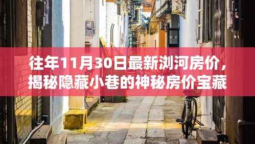揭秘浏河神秘房价宝藏,小巷特色小店与最新房价动态