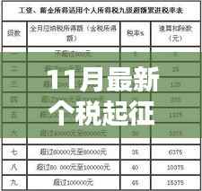 揭秘,11月最新个税起征点调整及其对生活的影响与财税改革细节解读