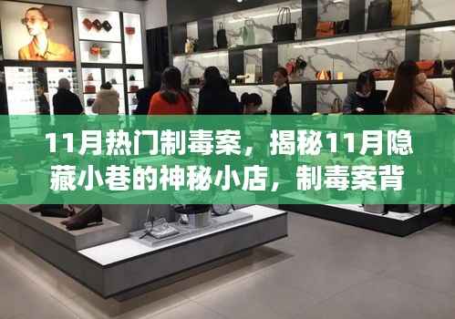揭秘11月小巷神秘小店,制毒案背后的隐秘故事