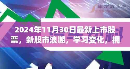 新股市浪潮启示录,拥抱自信与成就,聚焦2024年11月30日最新上市股票