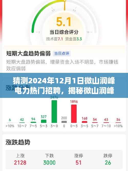 揭秘微山润峰电力未来招聘趋势,热门职位展望与深度解读(2024年)