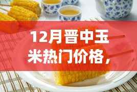 晋中玉米探秘之旅,揭秘热门价格背后的秘密与温馨故事
