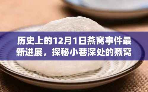 揭秘燕窝传奇,历史新篇,探寻燕窝事件最新进展的探秘之旅(12月1日)