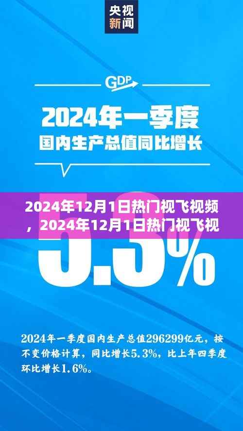 2024年12月1日热门视飞视频盛宴,引领潮流,视觉盛宴
