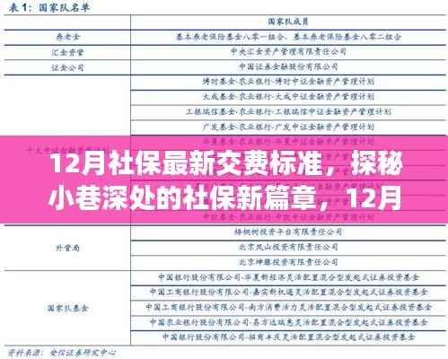 探秘社保新篇章,12月社保最新交费标准与特色小店观察