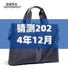 2024年男士休闲包包最新潮流趋势预测,时尚风采展望