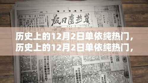 单依纯在历史上的十二月二日,全面回顾与深度解析
