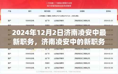 济南凌安中职务更新,不断进化的旅程,激发潜能的新征程