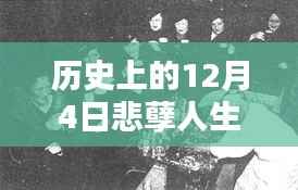 历史上的12月4日与悲孽人生许萍的新篇章揭秘