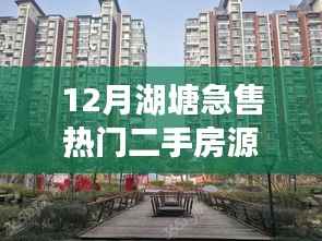 关于我们 第319页