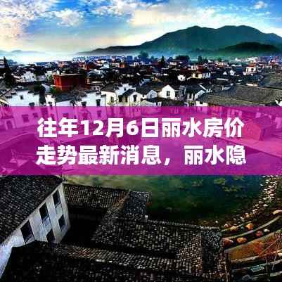 往年12月6日丽水房价走势揭秘,隐秘小巷的宝藏小店背后的故事最新消息速递