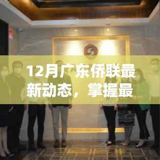 12月广东侨联最新动态详解与参与指南,掌握资讯,积极行动