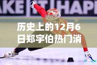 风云际会,历史上的12月6日郑宇伯热门消息全解析