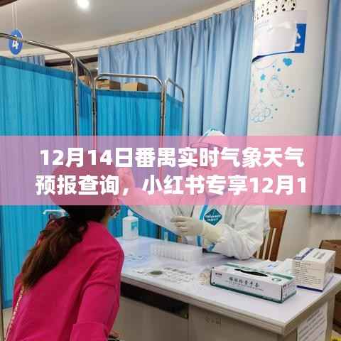 小红书专享,12月14日番禺实时气象天气预报查询,贴心提醒出行无忧