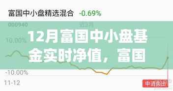 富国中小盘基金十二月实时净值背景深度解析与事件影响评估