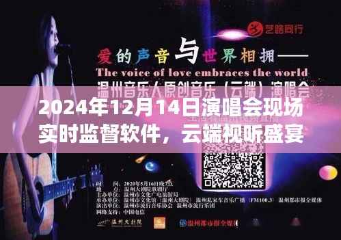 云端视听盛宴,探讨实时监督软件在演唱会现场的应用