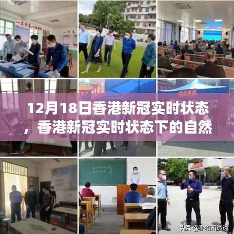 香港新冠实时状态,自然之旅中的心灵宁静与平和探寻