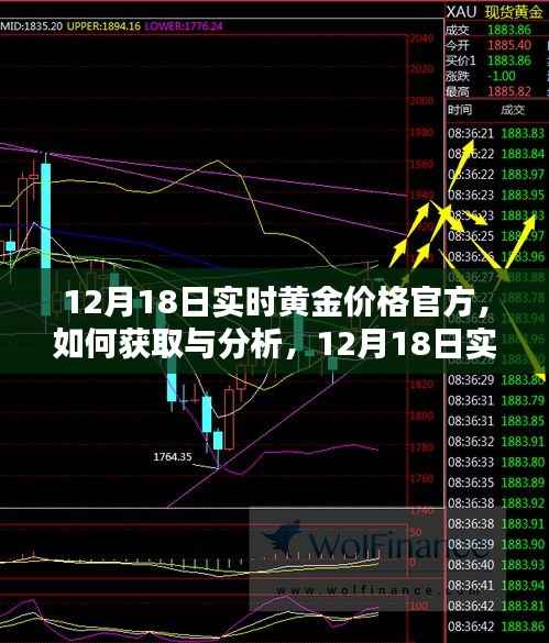 12月18日实时黄金价格官方信息获取与分析，初学者与进阶用户指南