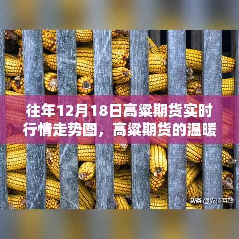 高粱期货行情回顾与友情故事,温暖陪伴的日常时光