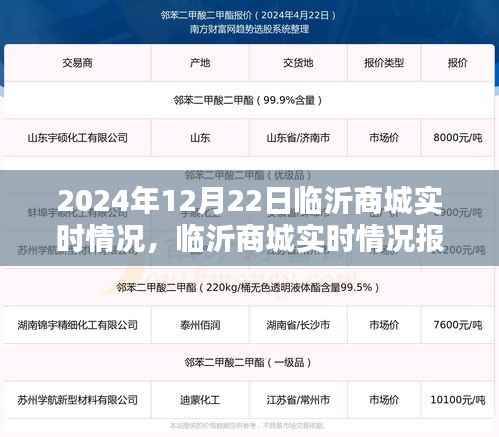 聚焦临沂商城实时动态,2024年12月22日的商贸繁荣盛况