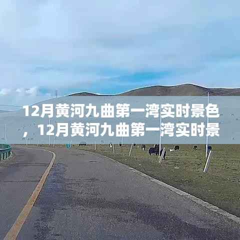 深度体验与全面评测,黄河九曲第一湾实时景色之冬季魅力