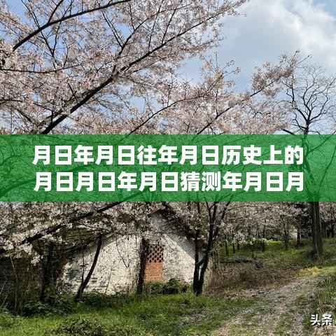 贵阳春节路况实时查询与温情相伴,历史与实时交织的奇遇之路