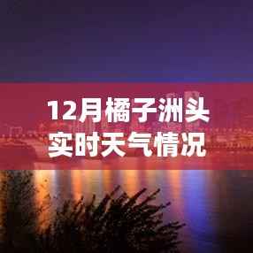 冬日暖阳下的橘子洲头,实时天气与心灵之旅