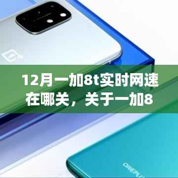 一加8T实时网速功能使用指南,设置、调整与优化策略,教你如何关闭与开启实时网速显示功能