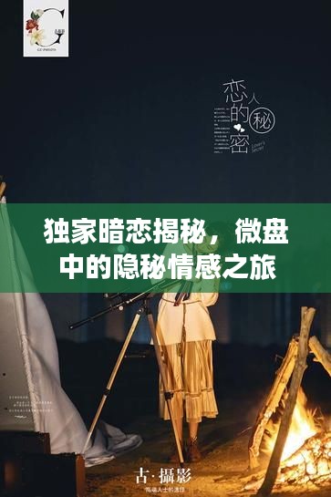 独家暗恋揭秘,微盘中的隐秘情感之旅