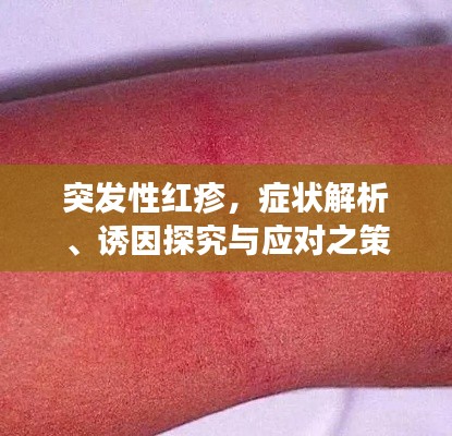 突发性红疹,症状解析、诱因探究与应对之策