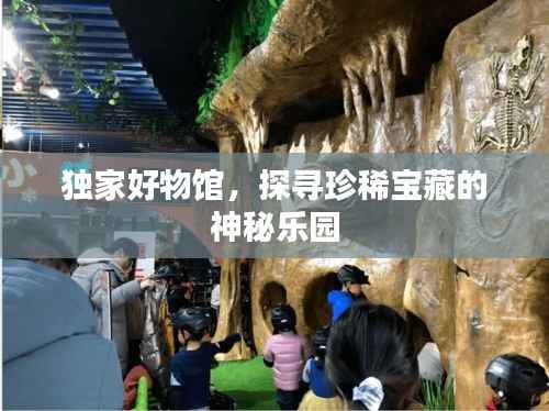 独家好物馆,探寻珍稀宝藏的神秘乐园