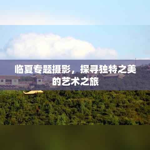 临夏专题摄影，探寻独特之美的艺术之旅