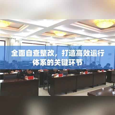 全面自查整改,打造高效运行体系的关键环节