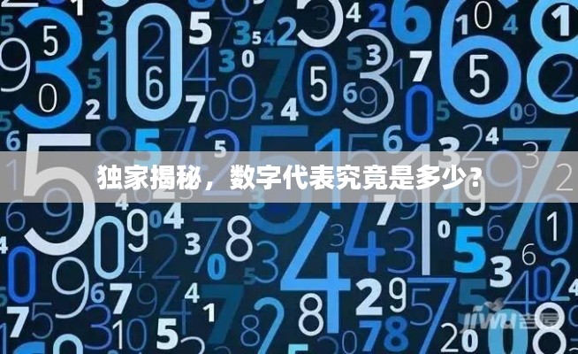 独家揭秘,数字代表究竟是多少?