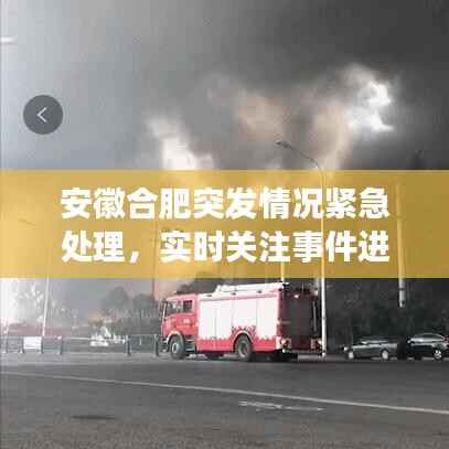 关于我们 第240页