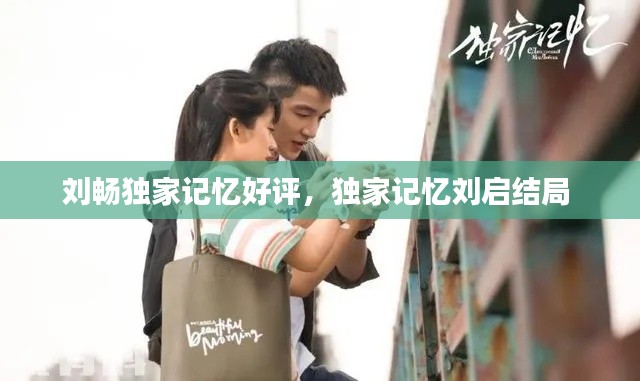 刘畅独家记忆好评,独家记忆刘启结局