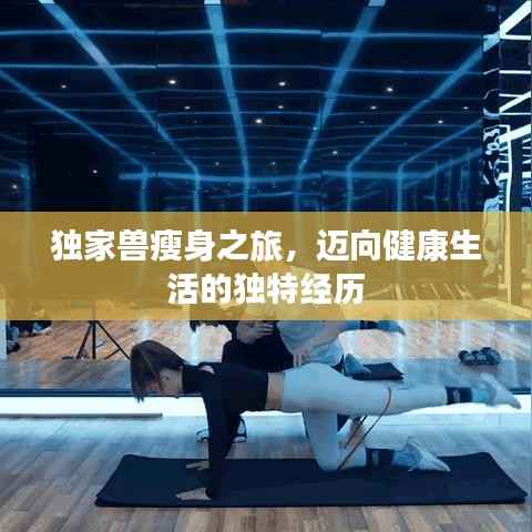 独家兽瘦身之旅,迈向健康生活的独特经历