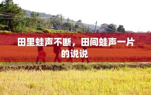 田里蛙声不断,田间蛙声一片的说说
