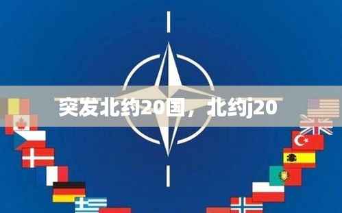 突发北约20国,北约j20